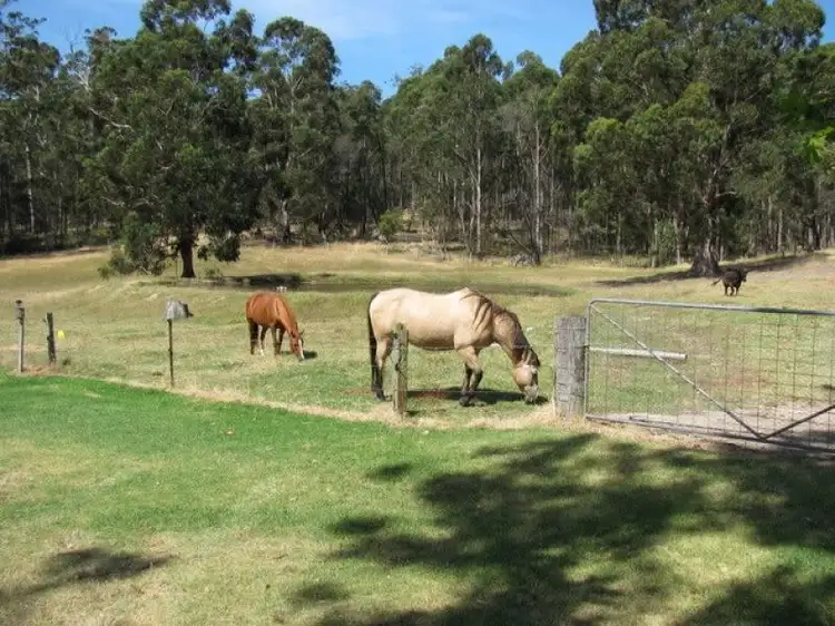 55 Hadfield Road, Cann River VIC 3890