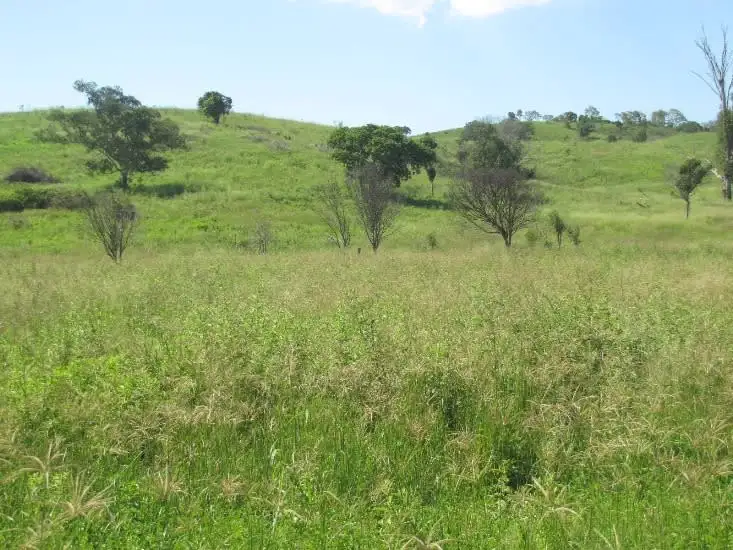 Main view of Homely land listing, 110 Aplin Road, Bracewell QLD 4695