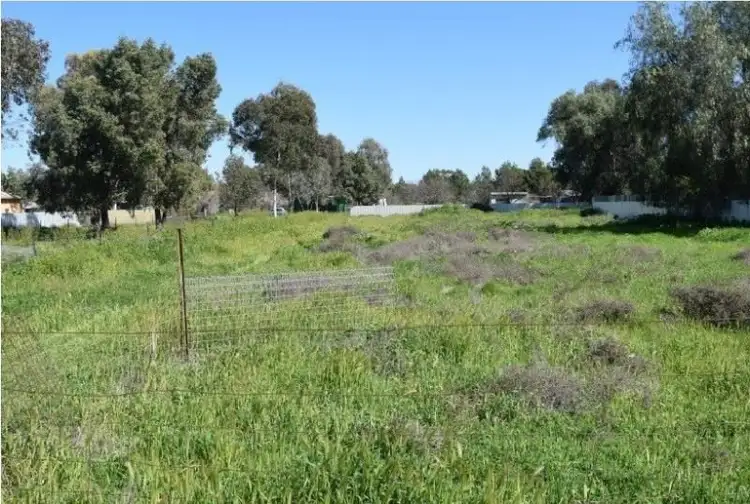 Third view of Homely land listing, LOT lot 1, west stree Trundle, Trundle NSW 2875