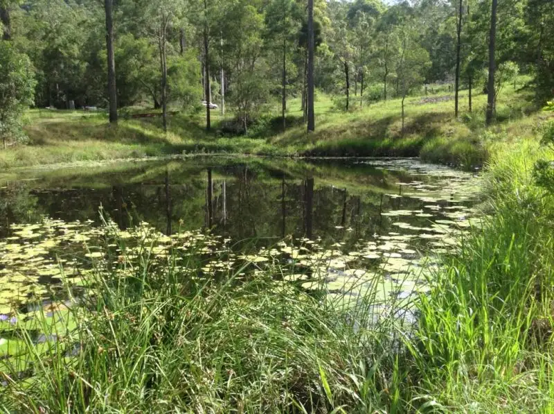 Main view of Homely land listing, 11 Krakatinni Close, Cedar Creek QLD 4520