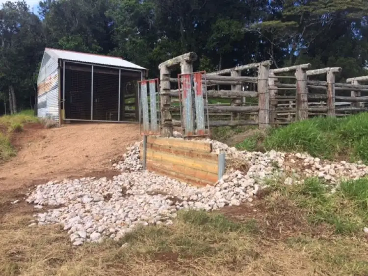 Fifth view of Homely rural property listing, Lot 173 Merragallan Road, Malanda QLD 4885