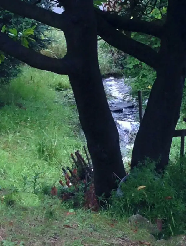 Seventh view of Homely house listing, 1 Myrtle Forest Road, Collinsvale TAS 7012