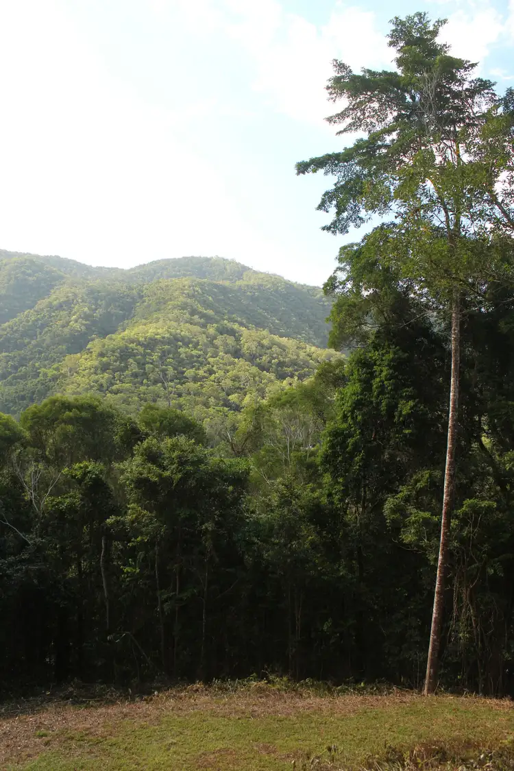 2-4 Frond Close, Redlynch QLD 4870