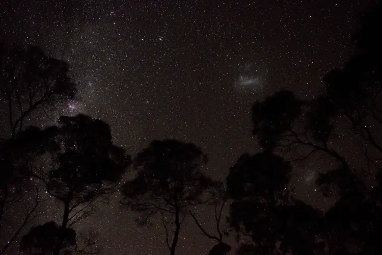 Seventh view of Homely rural property listing, 277 Cypress Drive, Yarrawonga NSW 2850
