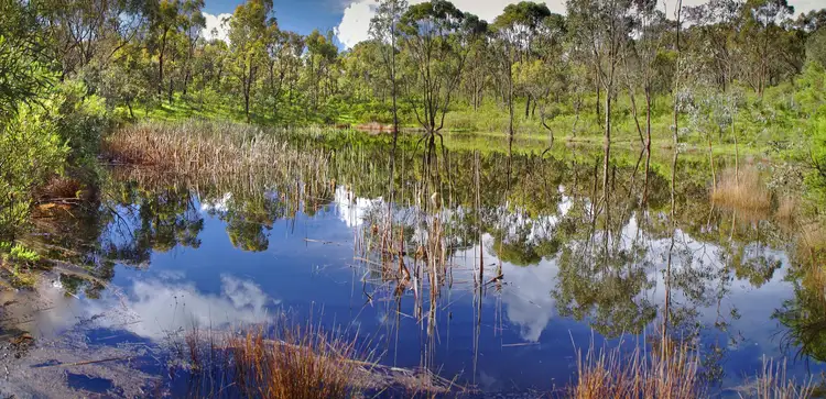 Second view of Homely rural property listing, 64 Mill Road, Barfold VIC 3444