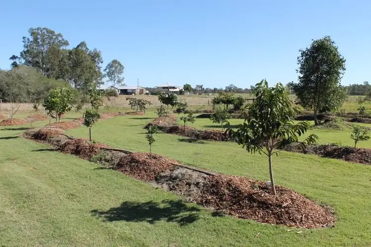Sixth view of Homely rural property listing, 2566 Mungar Rd, Tiaro QLD 4650