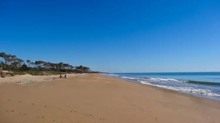 35 Palm View Drive, Moore Park Beach QLD 4670