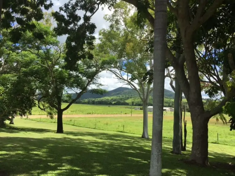 Fourth view of Homely rural property listing, 33 Orphanage Road, Habana QLD 4740