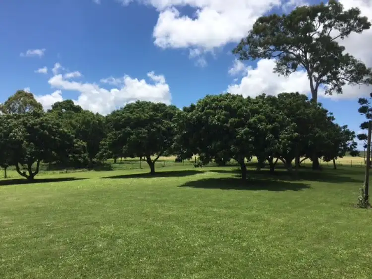 Fifth view of Homely rural property listing, 33 Orphanage Road, Habana QLD 4740