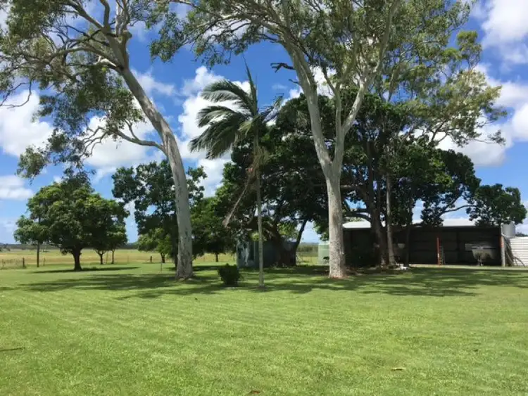 Sixth view of Homely rural property listing, 33 Orphanage Road, Habana QLD 4740