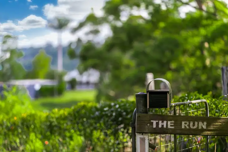 Fourth view of Homely rural property listing, 2466 Dunoon Road, Rosebank NSW 2480
