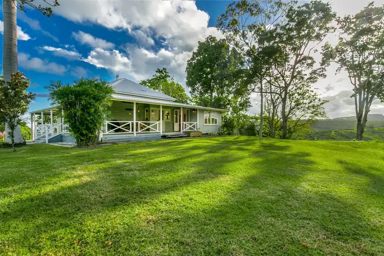 Fifth view of Homely rural property listing, 2466 Dunoon Road, Rosebank NSW 2480