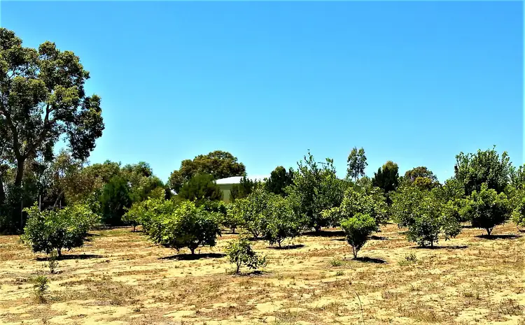 Fourth view of Homely rural property listing, 101 Cowalla, Gingin WA 6503