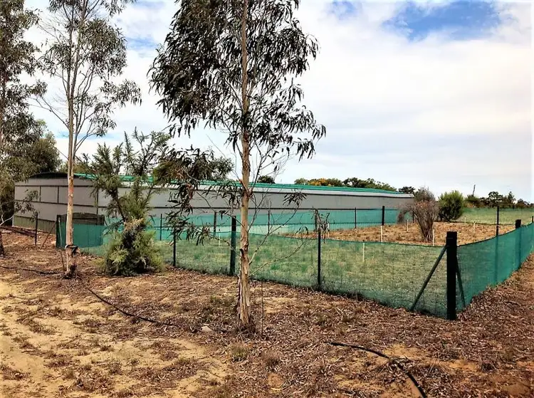 Sixth view of Homely rural property listing, 101 Cowalla, Gingin WA 6503
