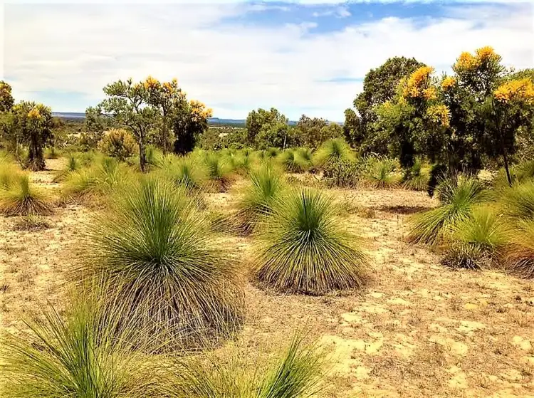 Seventh view of Homely rural property listing, 101 Cowalla, Gingin WA 6503