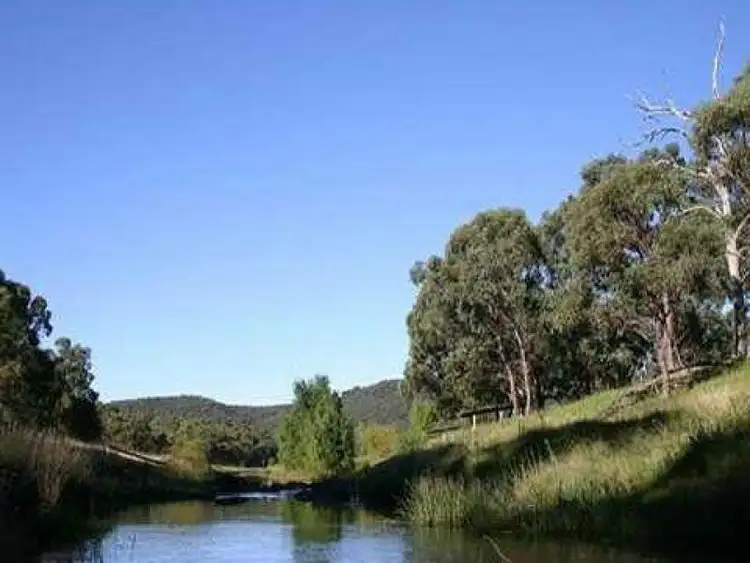 Second view of Homely rural property listing, 935 Bullock Mount Rd, Yarrowford NSW 2370