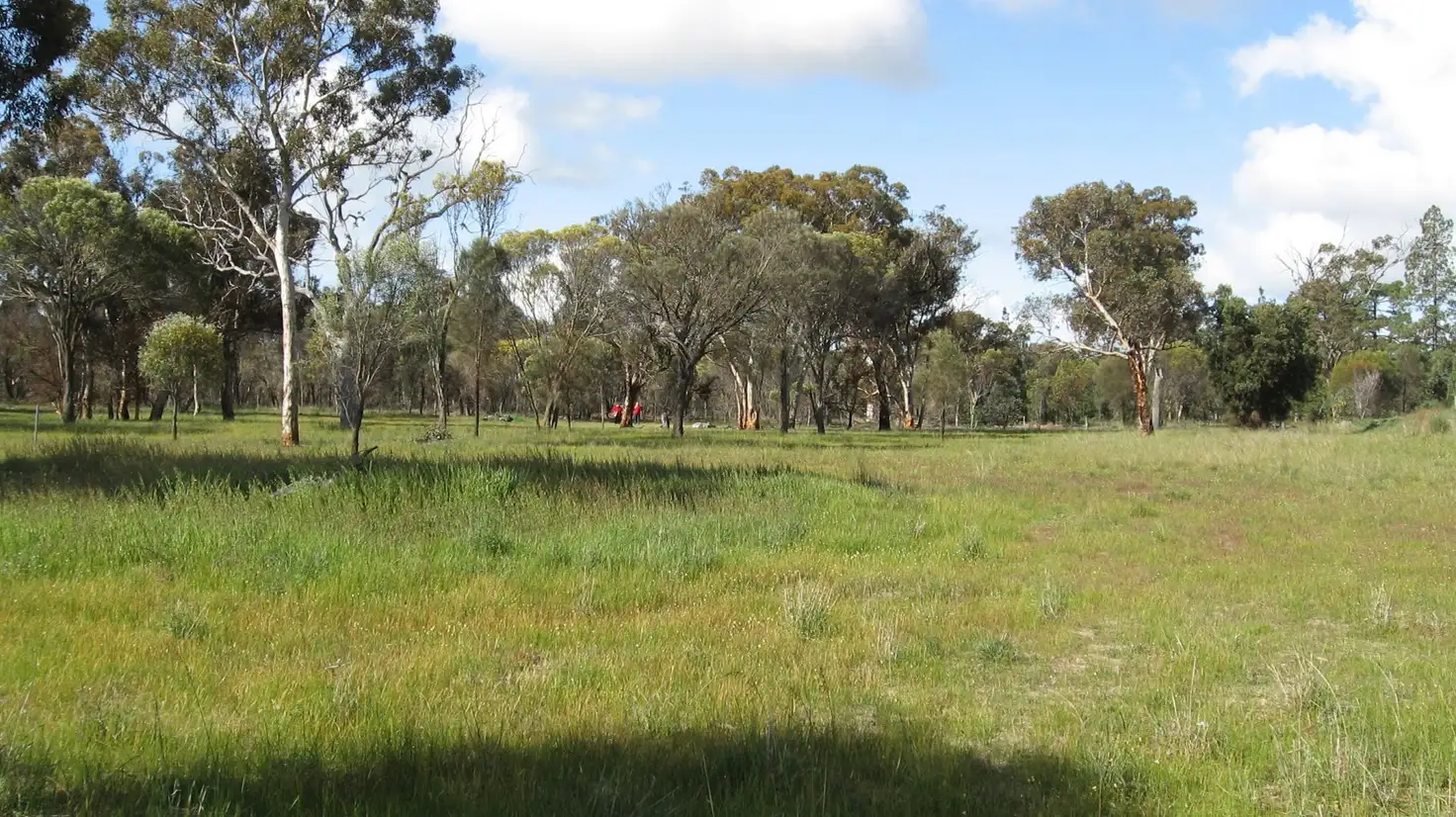 Main view of Homely land listing, 31 Lovegrove Street, Tambellup WA 6320