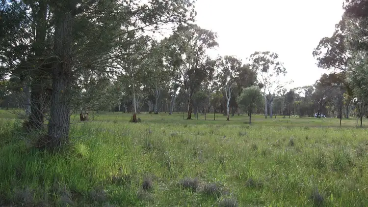 Second view of Homely land listing, 31 Lovegrove Street, Tambellup WA 6320