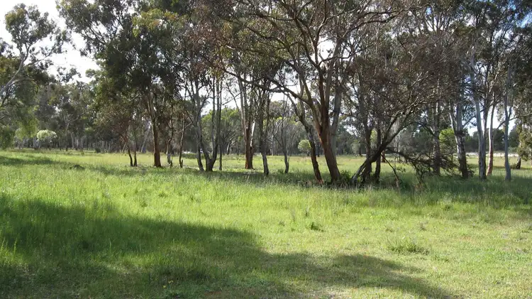 Third view of Homely land listing, 31 Lovegrove Street, Tambellup WA 6320