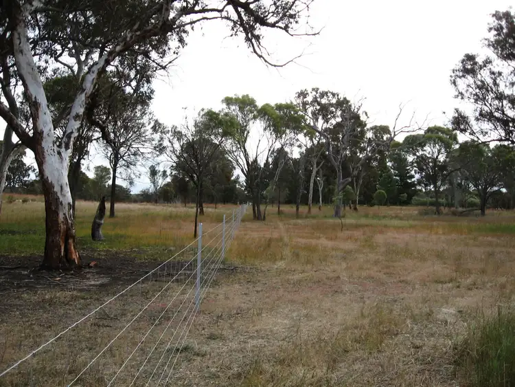 Fifth view of Homely land listing, 31 Lovegrove Street, Tambellup WA 6320
