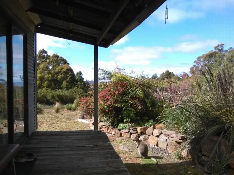 Main view of Homely rural property listing, 262 Austins Road, Turners Marsh TAS 7267