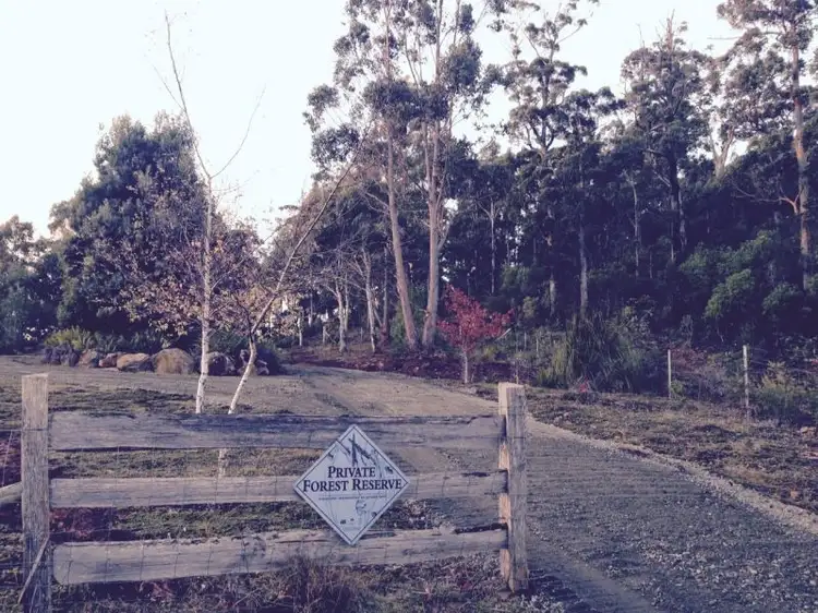 Third view of Homely rural property listing, 262 Austins Road, Turners Marsh TAS 7267