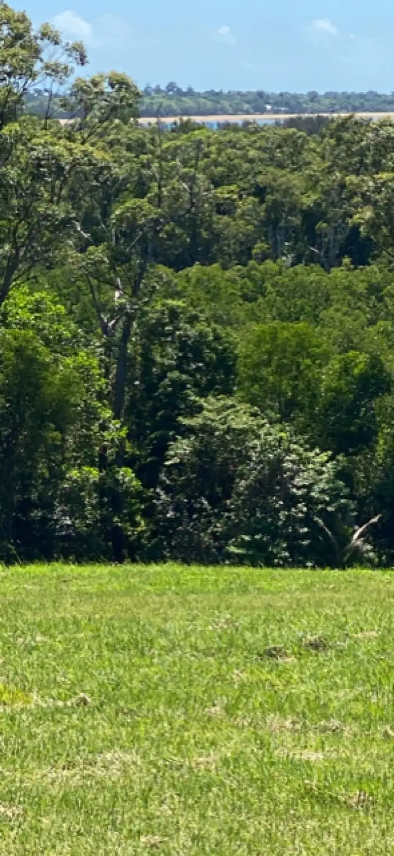 Main view of Homely rural property listing, 116 Fig Tree Beach Road, Midgeree Bar QLD 4852