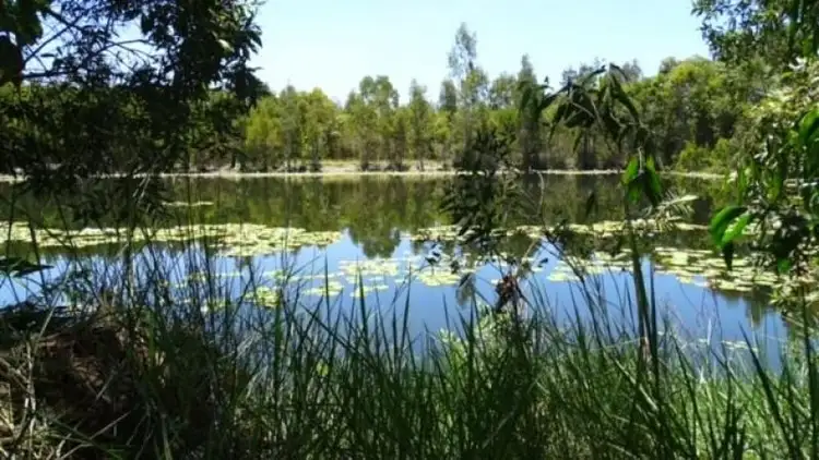 Third view of Homely rural property listing, 116 Fig Tree Beach Road, Midgeree Bar QLD 4852