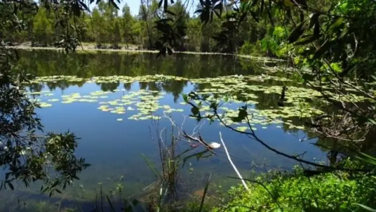 Sixth view of Homely rural property listing, 116 Fig Tree Beach Road, Midgeree Bar QLD 4852