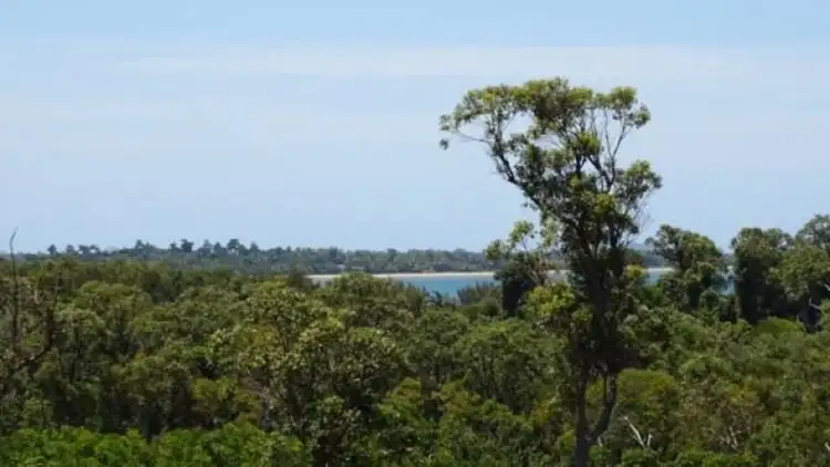 Seventh view of Homely rural property listing, 116 Fig Tree Beach Road, Midgeree Bar QLD 4852