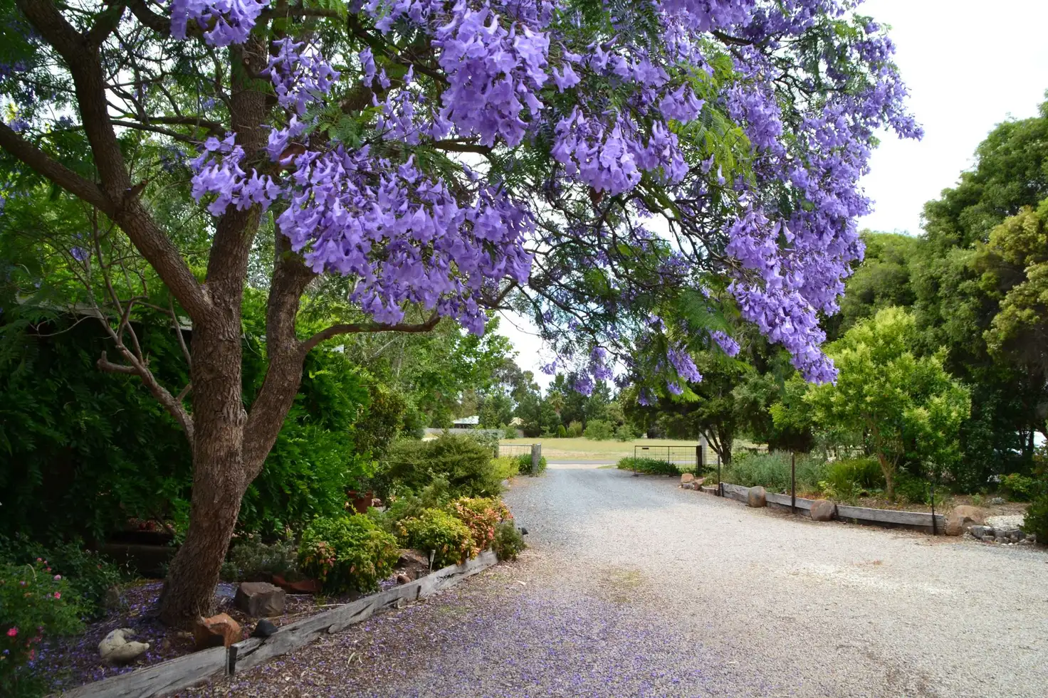 Main view of Homely house listing, 2 Konig Court, Orrvale VIC 3631