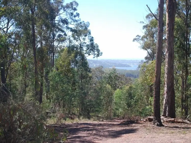 Main view of Homely land listing, Lot 197 Millingandi Road, Millingandi NSW 2549