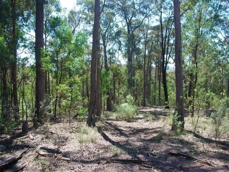 Third view of Homely land listing, Lot 197 Millingandi Road, Millingandi NSW 2549