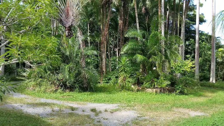 Fourth view of Homely rural property listing, 19 Palm Avenue, Mowbray QLD 4877