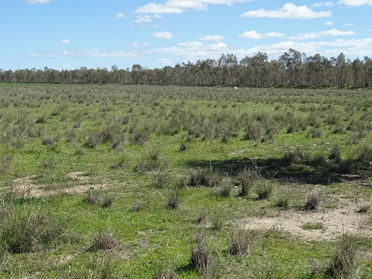 Fifth view of Homely rural property listing, Address available on request