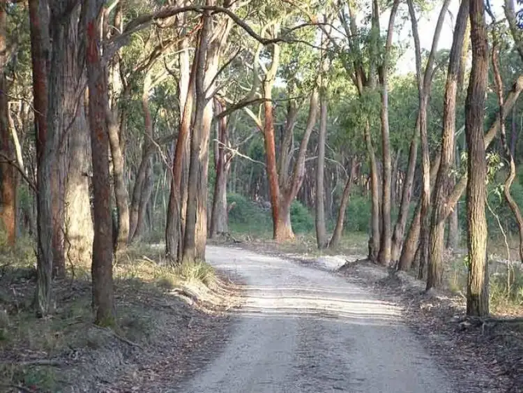 Second view of Homely rural property listing, 13 Rowlers Road, Snake Valley VIC 3351