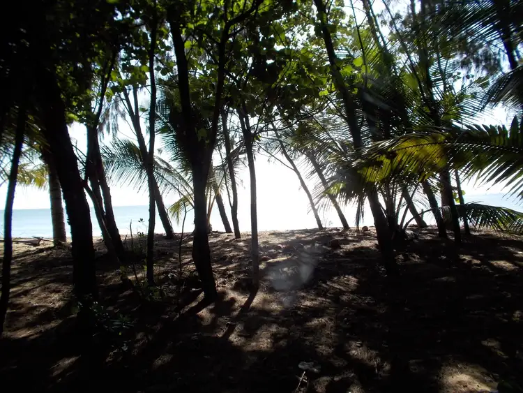 Sixth view of Homely house listing, Lot 6 Section 2 Russel Heads, East Russell QLD 4861