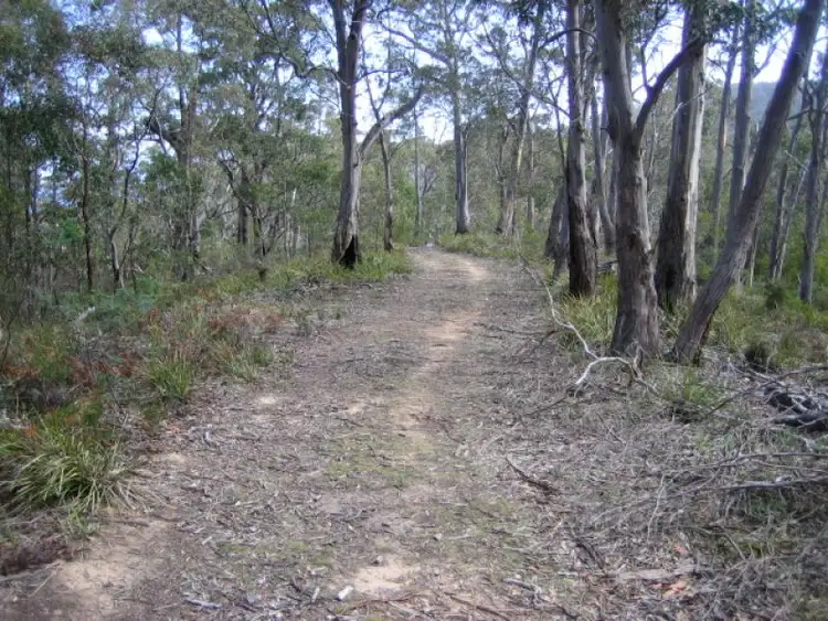 Second view of Homely land listing, 81 Staceys Road, Nubeena TAS 7184