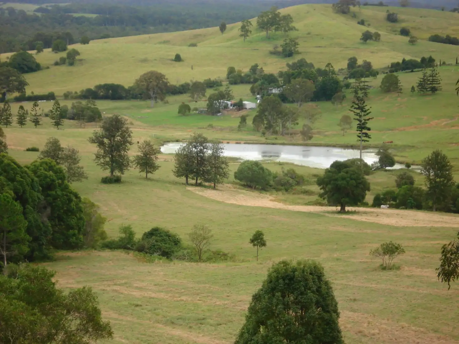 Main view of Homely rural property listing, 2 Vines Rd., Wolvi QLD 4570