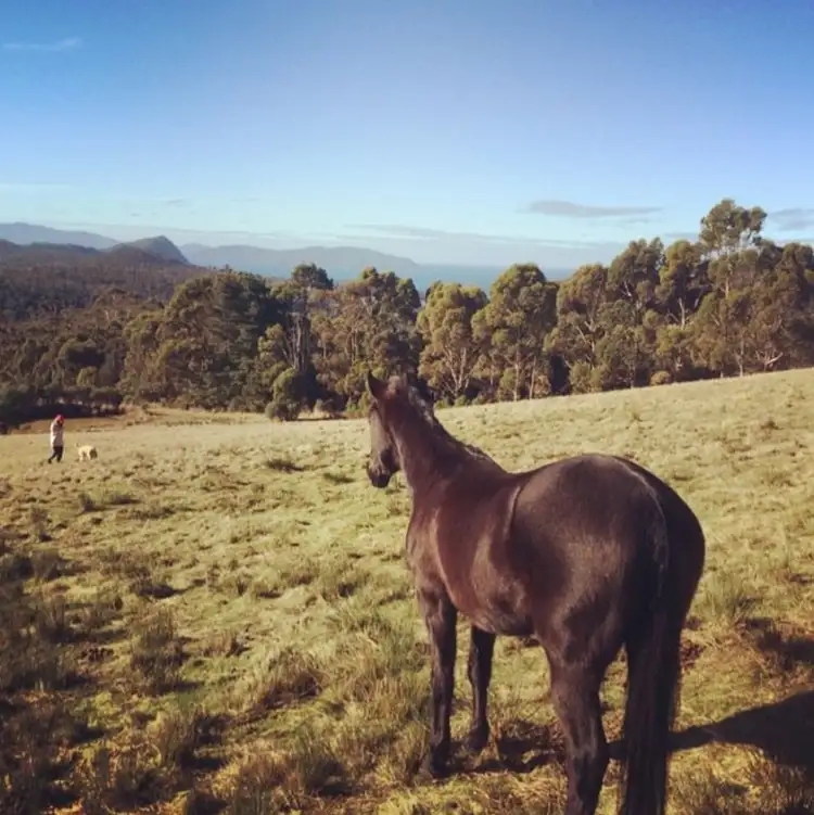 Third view of Homely land listing, 766 Bream Creek Road, Bream Creek TAS 7175