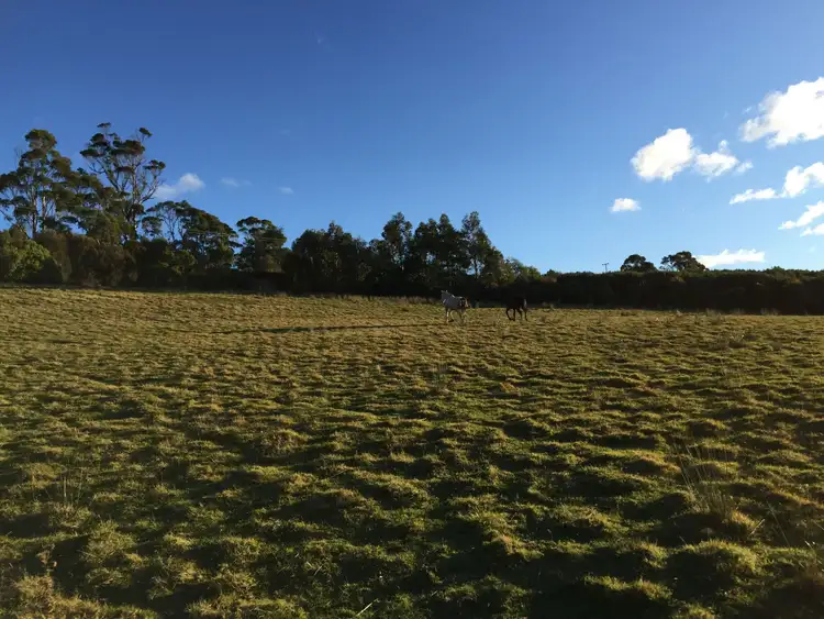 Fourth view of Homely land listing, 766 Bream Creek Road, Bream Creek TAS 7175