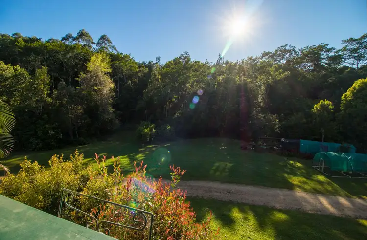 Fourth view of Homely rural property listing, 13 Pigeonberry Rd, Murwillumbah, Nobbys Creek NSW 2484