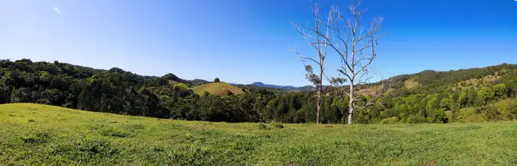 Sixth view of Homely rural property listing, 13 Pigeonberry Rd, Murwillumbah, Nobbys Creek NSW 2484