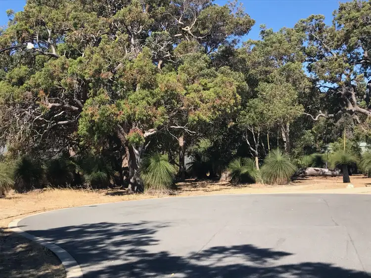 12 Djarryl Close, Falcon WA 6210