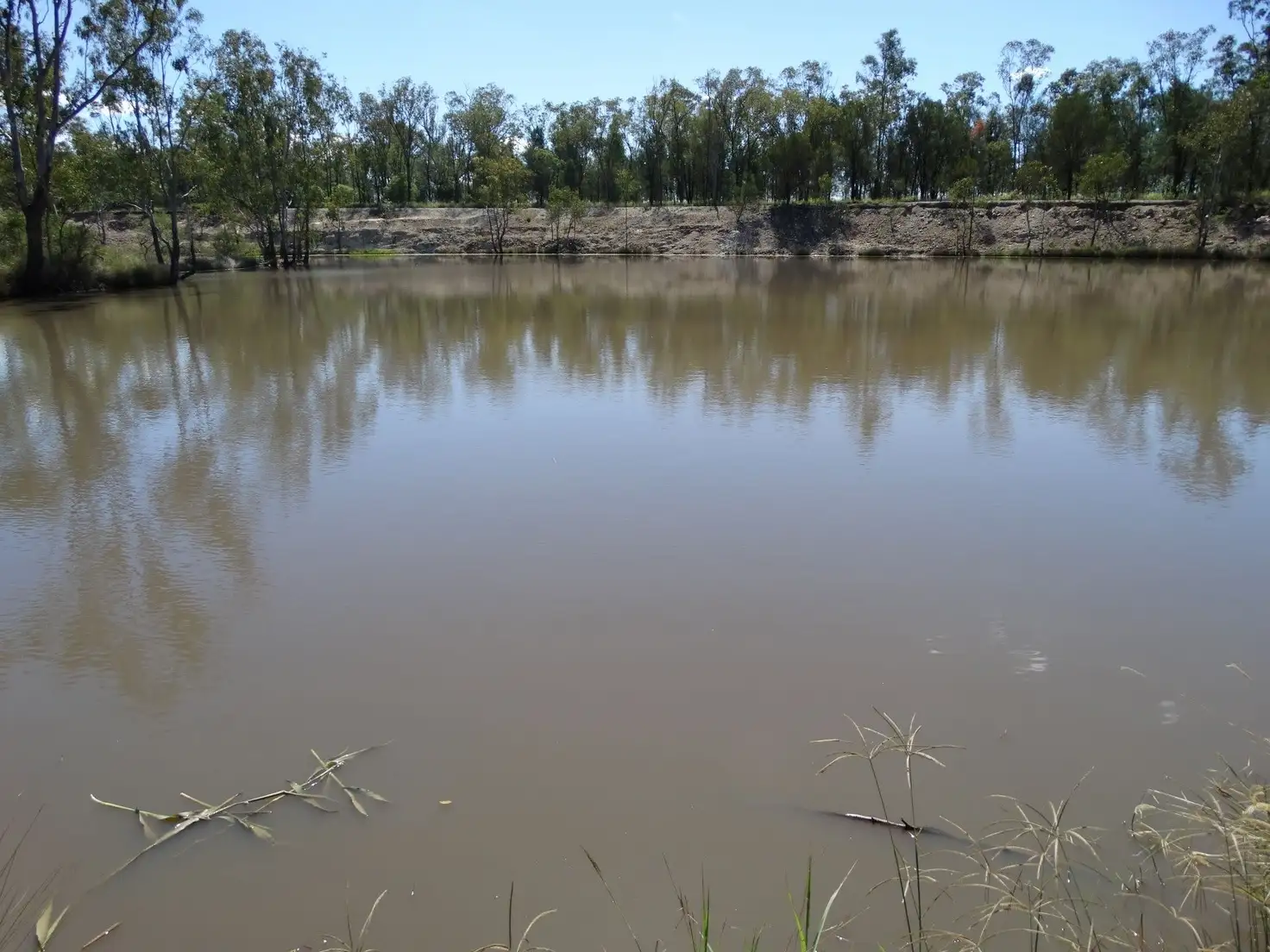 Main view of Homely rural property listing, Lot 94 Butts Road, Chinchilla QLD 4413