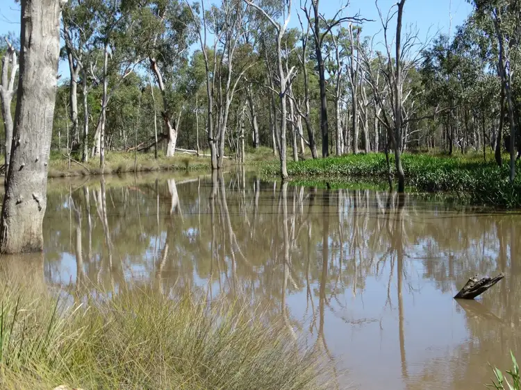 Fourth view of Homely rural property listing, Lot 94 Butts Road, Chinchilla QLD 4413