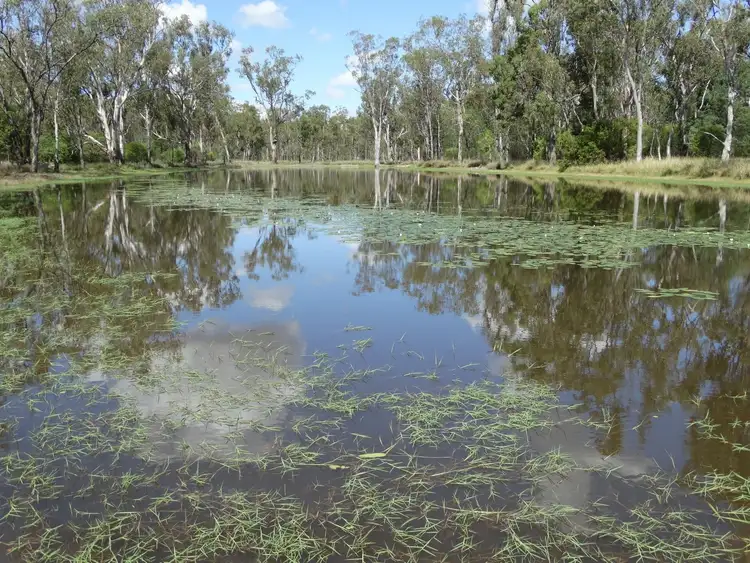 Sixth view of Homely rural property listing, Lot 94 Butts Road, Chinchilla QLD 4413