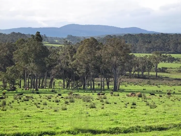 Main view of Homely rural property listing, Lot 1689 Dingo Flat Road, Denmark WA 6333