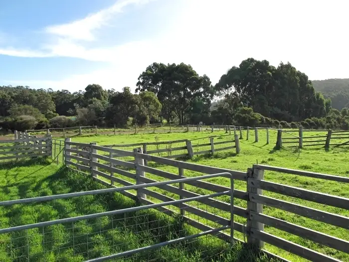 Second view of Homely rural property listing, Lot 1689 Dingo Flat Road, Denmark WA 6333