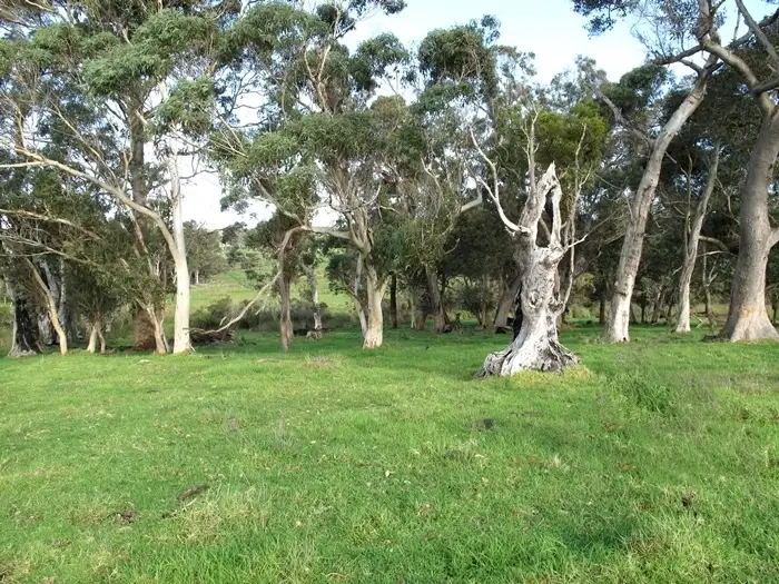 Third view of Homely rural property listing, Lot 1689 Dingo Flat Road, Denmark WA 6333